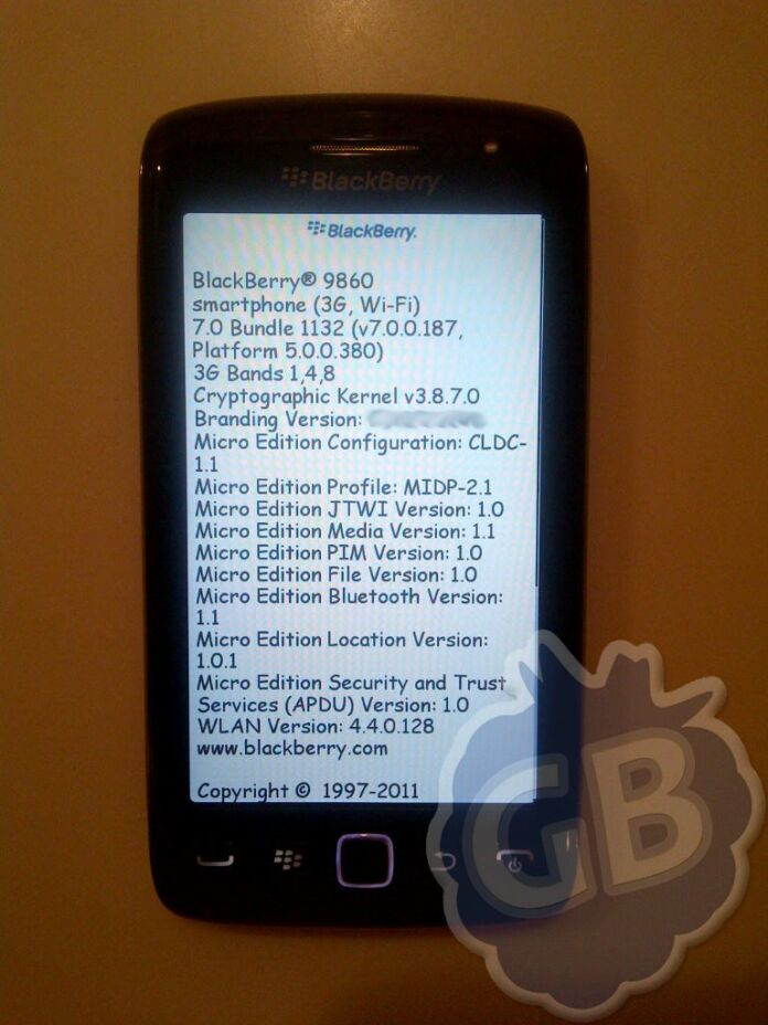 BlackBerry Monza Torch2 3