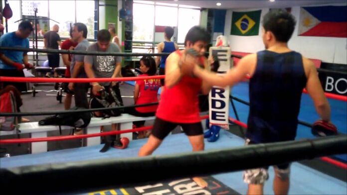 Jaybird BlueBuds X Review