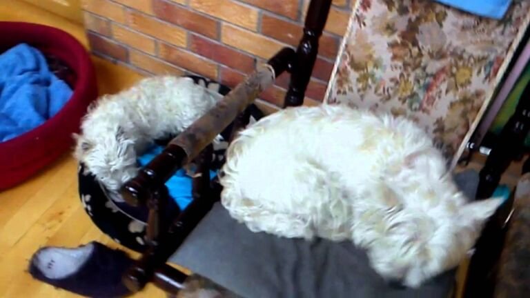 xperia play update gets hd recor1