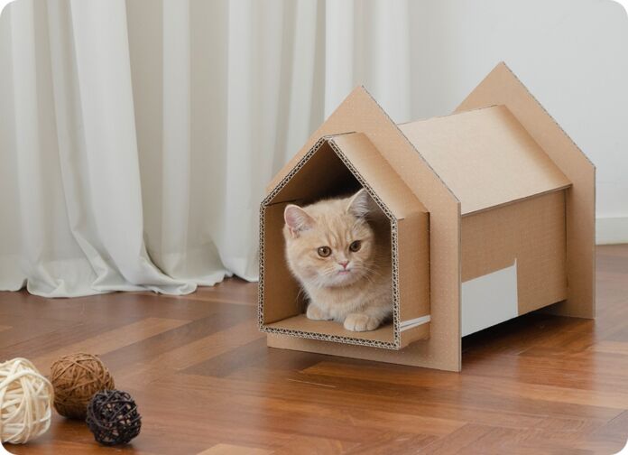 Give your fur-babies their own space with Samsung’s Eco-Package