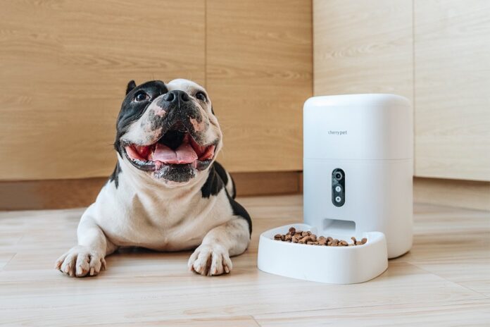 CHERRY Smart Pet Feeder Plus now available