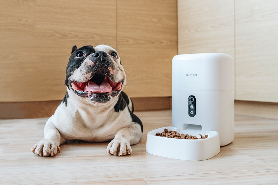 Smart Pet Feeder KV