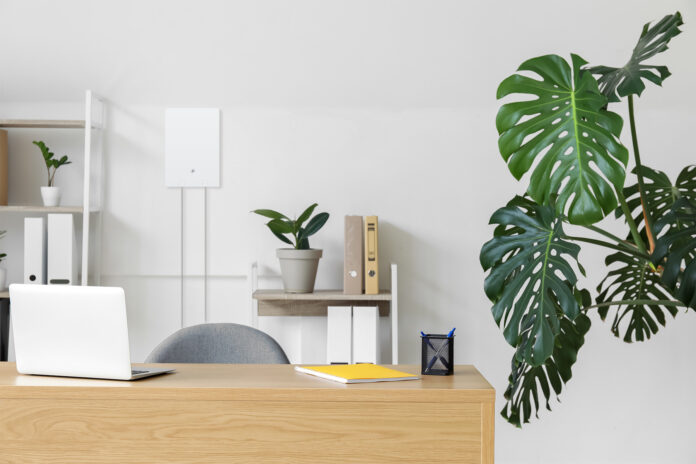 TP-Link Archer Air R5 and E5 now available, priced PH