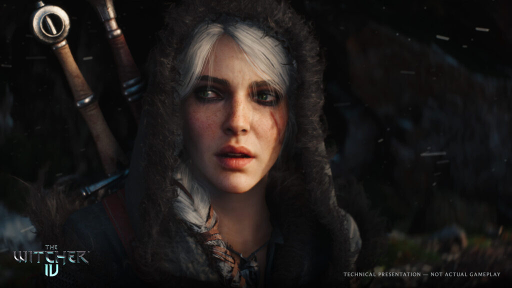 The Witcher ()