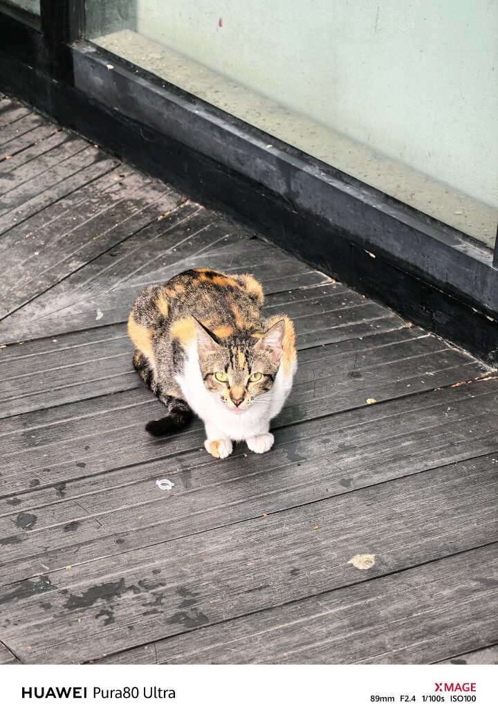 HUAWEI Pura Ultra Sample Photo ()